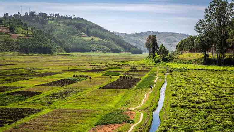 Land Management